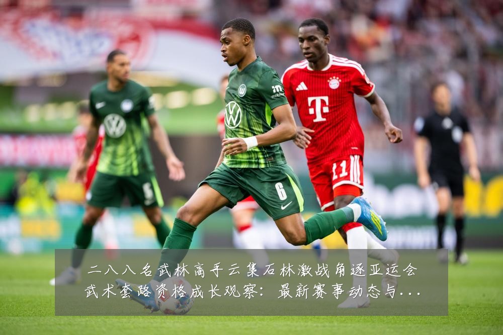 二八八名武林高手云集石林激战角逐亚运会武术套路资格成长观察：最新赛事动态与深度分析